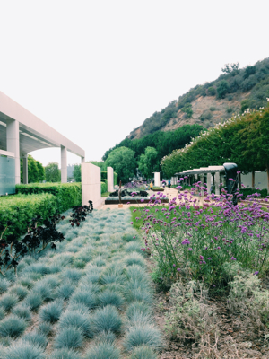 few more from the Getty