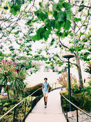 few more from the Getty