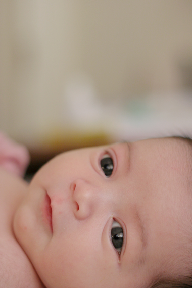 6a00d8341c07cf53ef00e54f650b1d8834-800wi